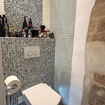 Le Loft Villehardouin Apartment